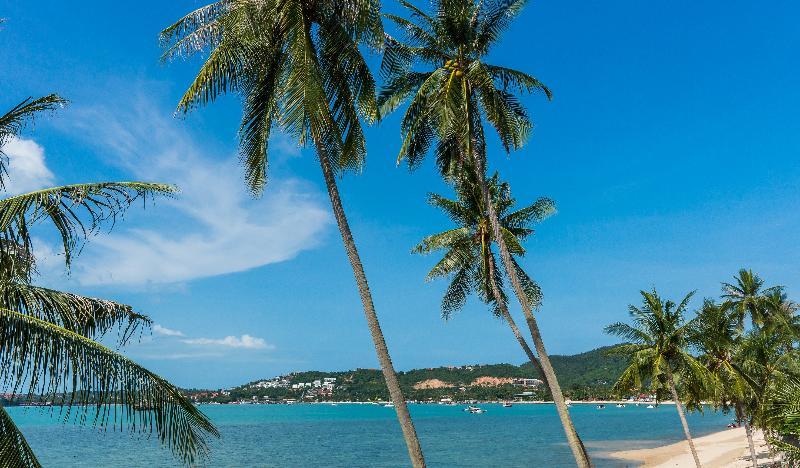 B House Samui Hotel Bang Rak Beach  Exterior photo